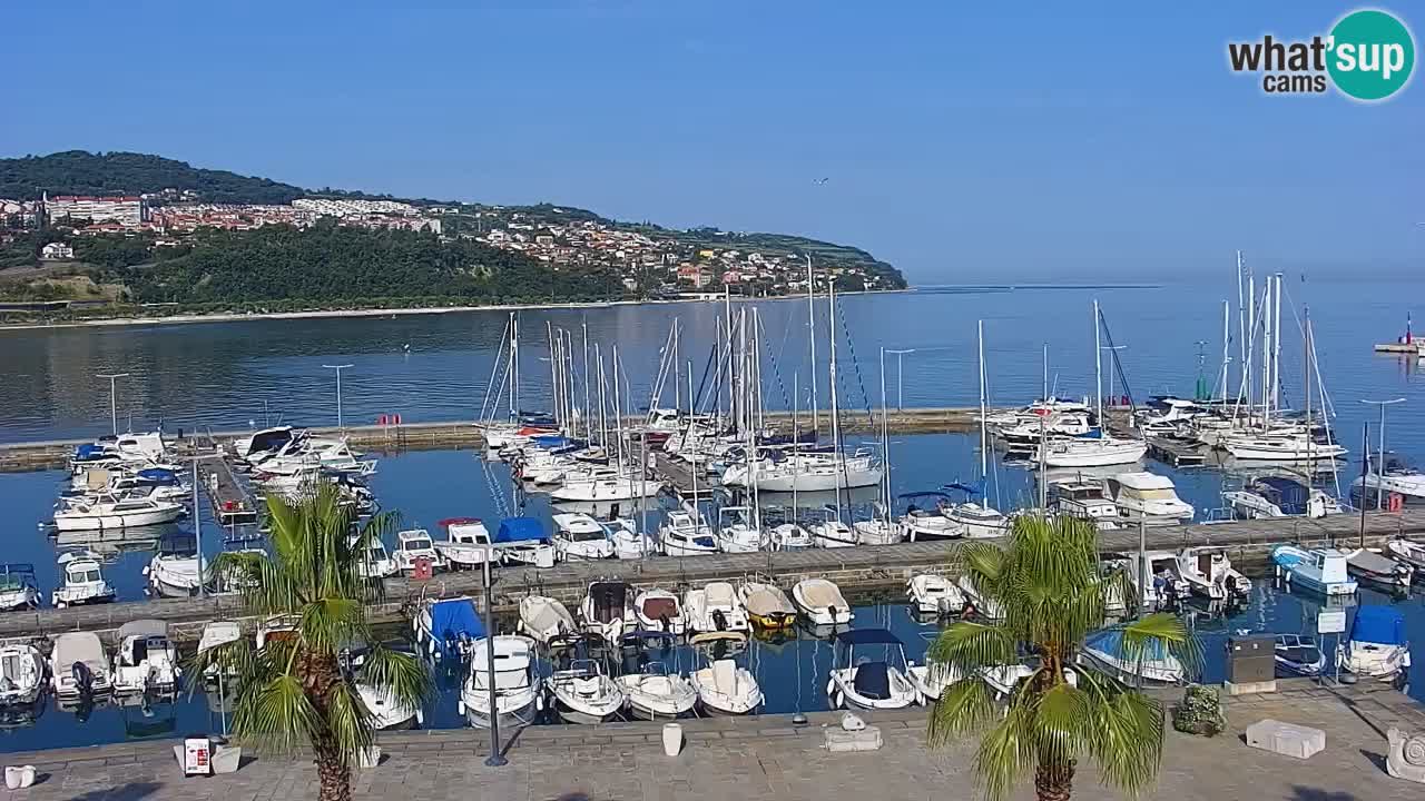 Der Hafen von Koper Live-Webcam – Kreuzfahrt- und Frachthafen – Slowenien
