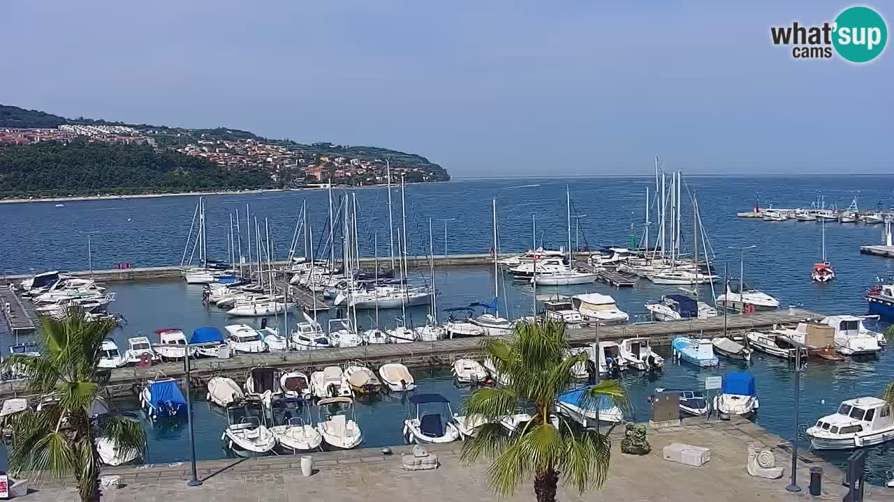 Il porto di Koper – Capodistria live webcam – porto crociere e mercantile – Slovenia