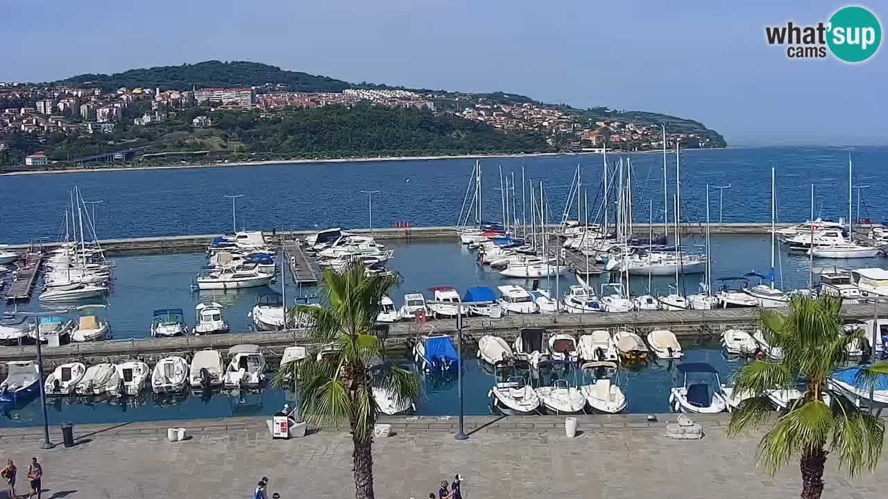 Camera en vivo Koper – puerto deportivo y paseo marítimo desde el Hotel Grand Koper
