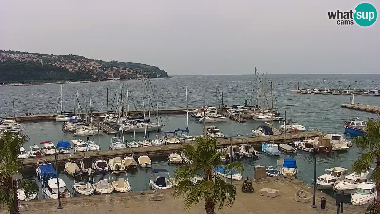 Webcam Koper – Panorama des Jachthafens und der Promenade vom Hotel Grand Koper