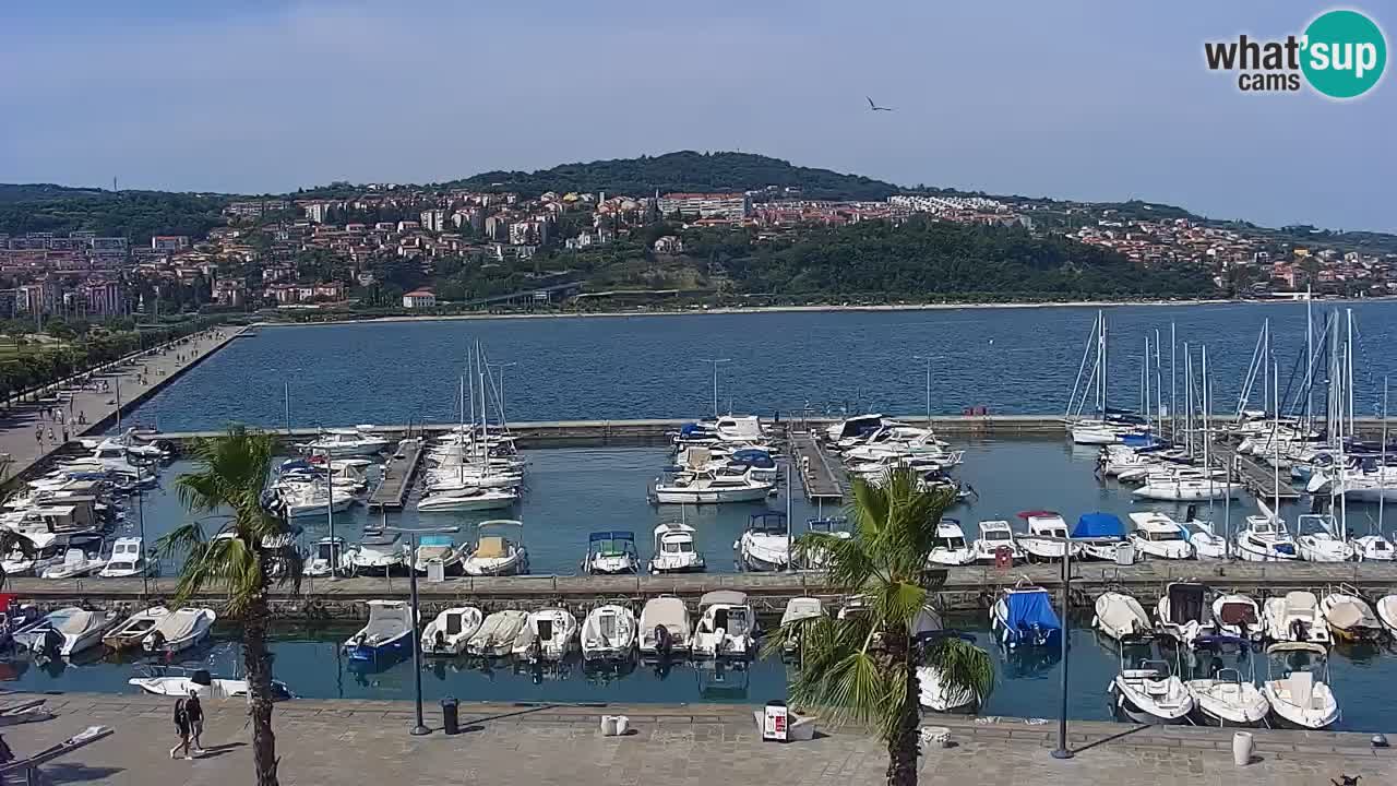 Webcam Koper – Panorama des Jachthafens und der Promenade vom Hotel Grand Koper