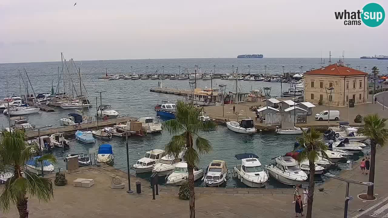 Spletna kamera Koper – Panorama na marino in promenado s Hotela Grand Koper