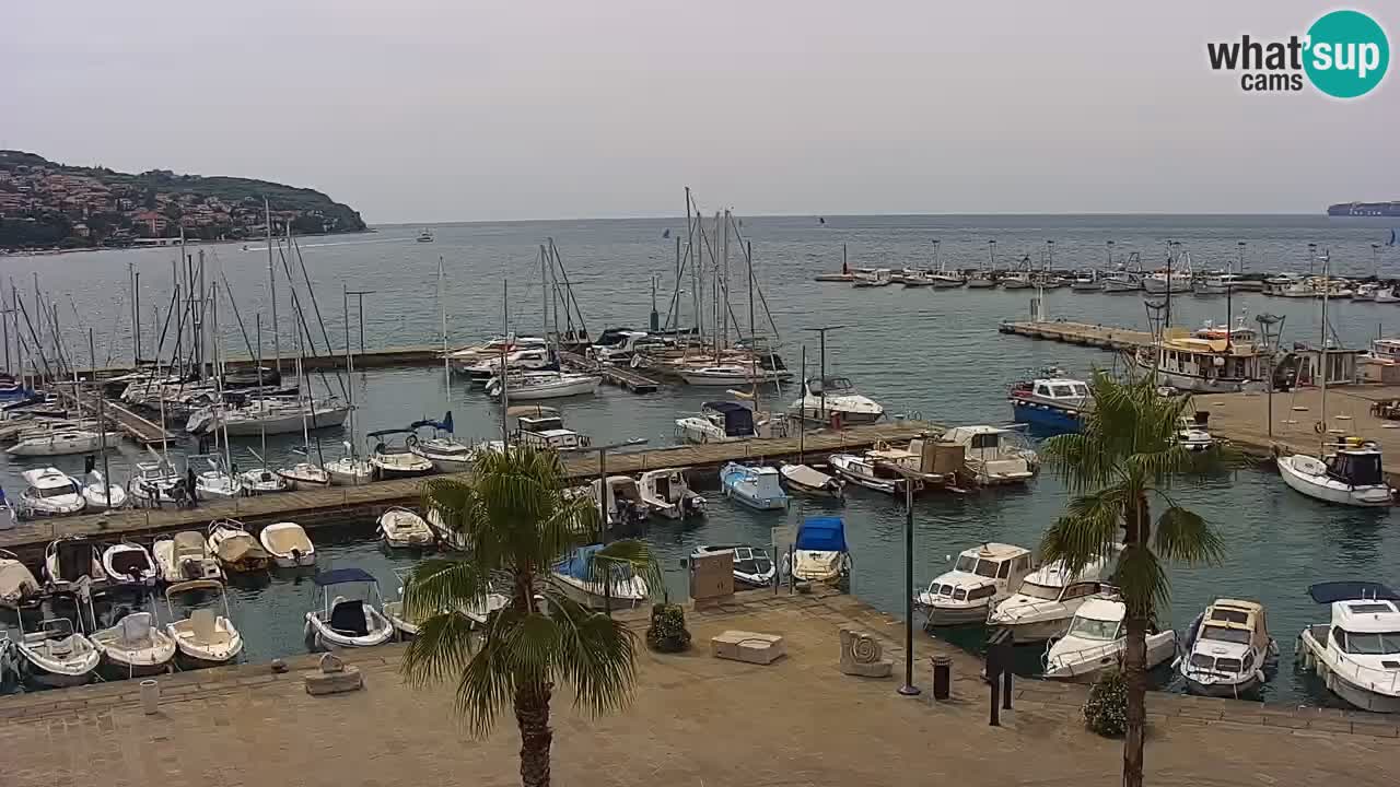 Camera en vivo Koper – puerto deportivo y paseo marítimo desde el Hotel Grand Koper