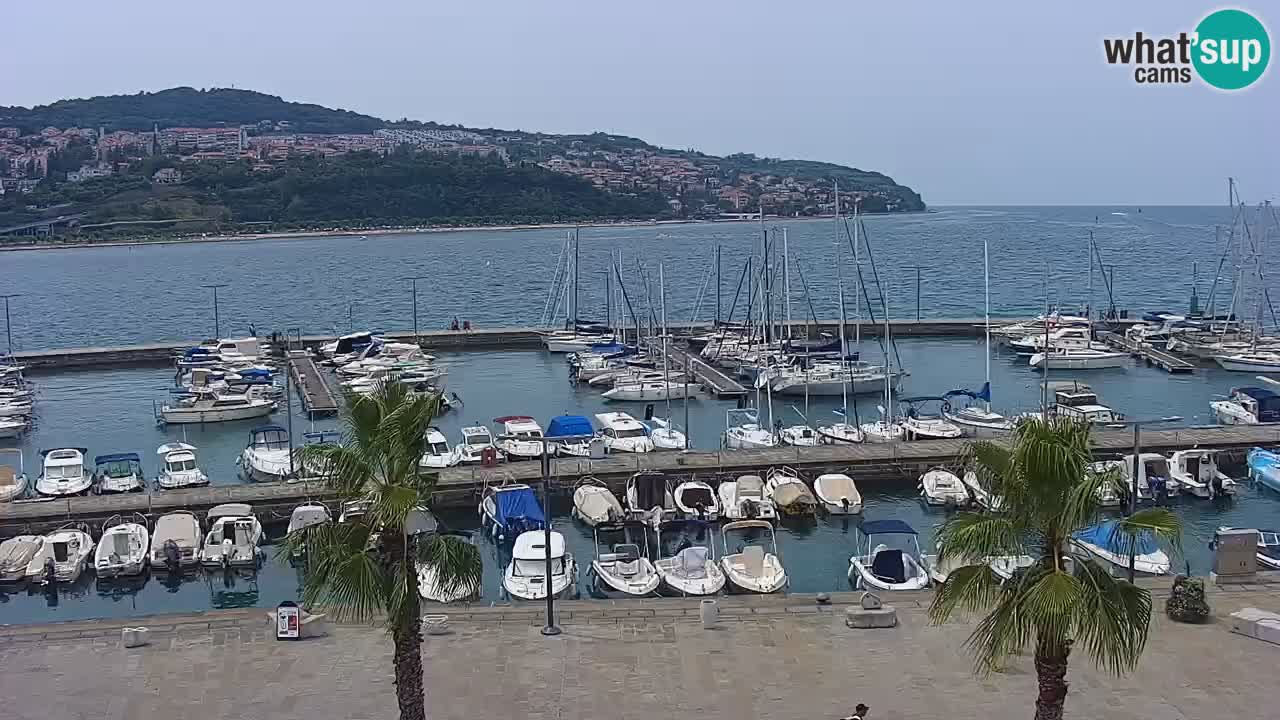 Spletna kamera Luka Koper v živo – Potniški terminal in tovorno pristanišče – Slovenija
