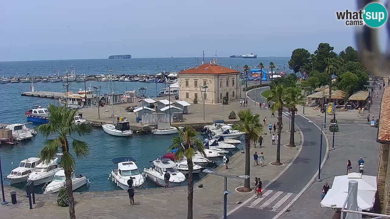 Spletna kamera Koper – Panorama na marino in promenado s Hotela Grand Koper