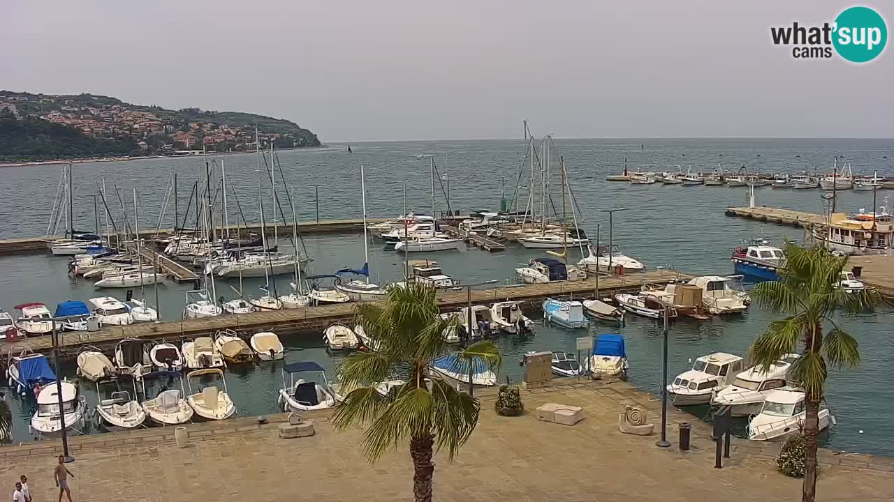 Webcam Koper – Panorama de la marina et de la promenade depuis le Grand Hotel Koper