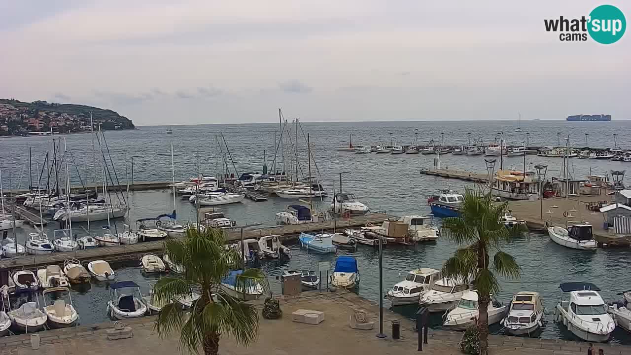 Webcam Capodistria – marina e lungo mare dall’Hotel Grand Koper