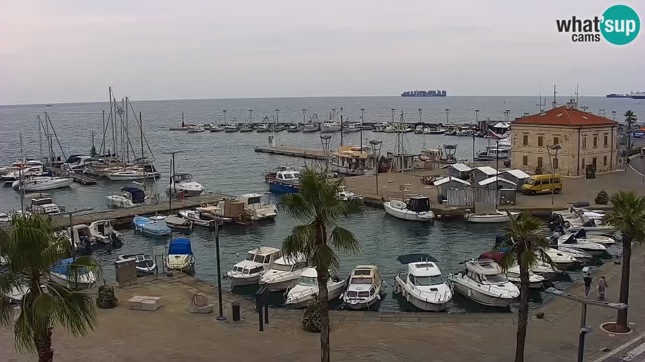 Live cam Koper – Ukmarjev trg