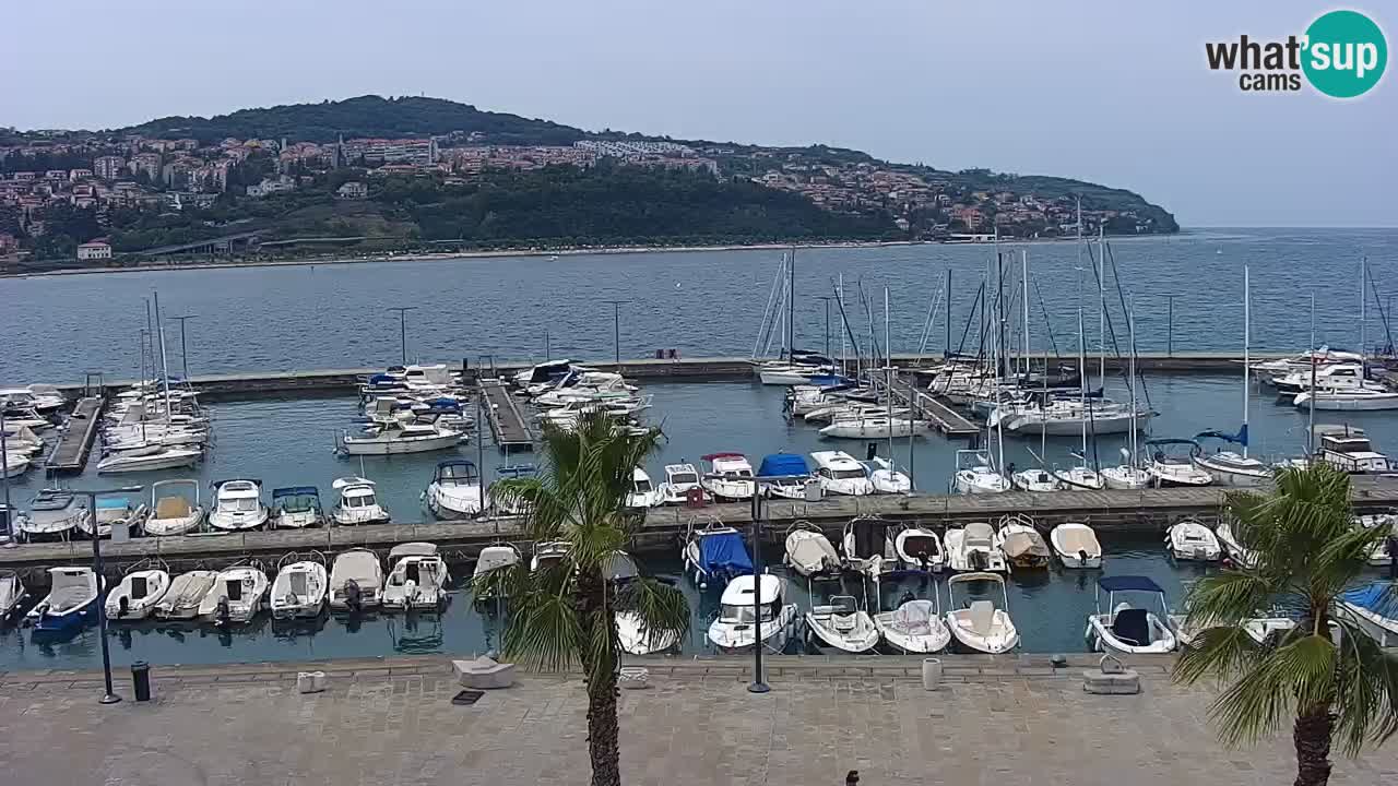 Webcam Koper – Panorama of the marina and promenade from the Grand Hotel Koper