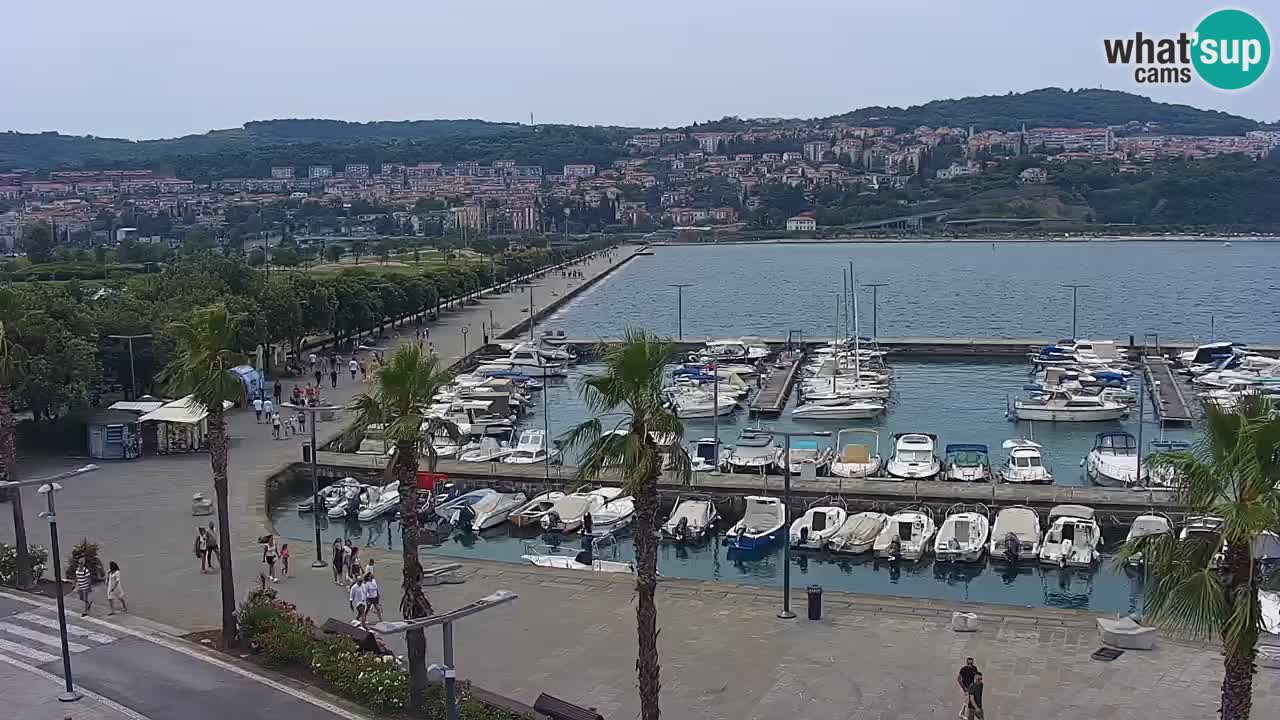 Camera en Vivo Koper – Ukmarjev trg