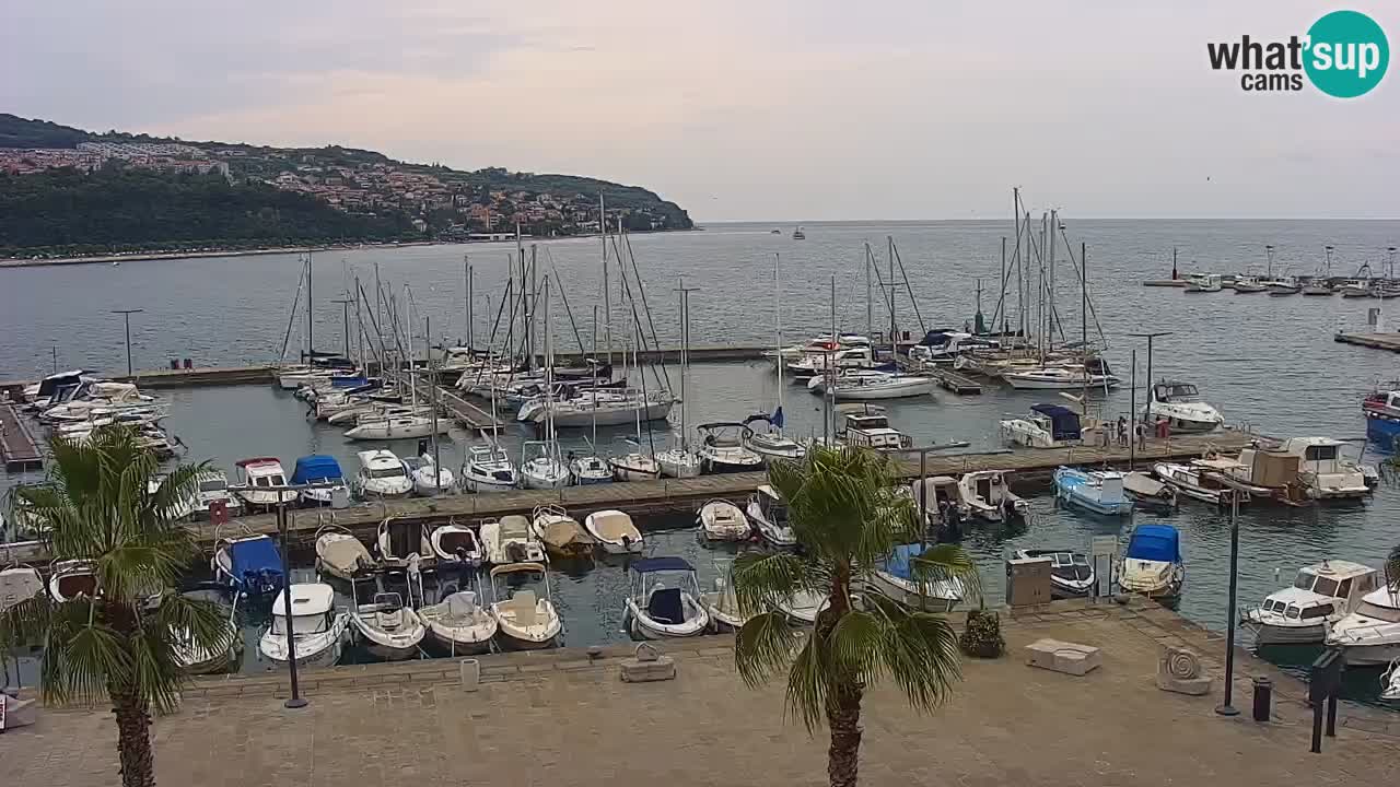 Webcam Koper – Panorama de la marina et de la promenade depuis le Grand Hotel Koper