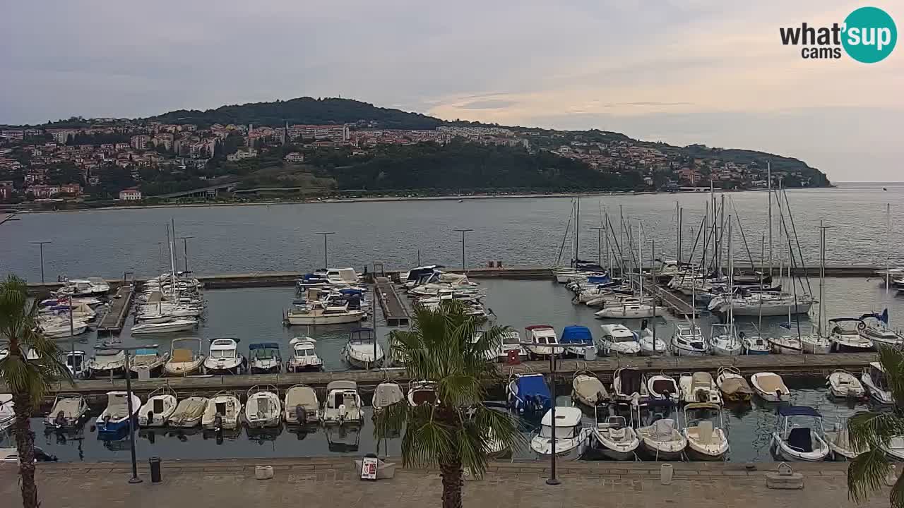 Web kamera Koper – marina i promenada – hotel Grand Koper