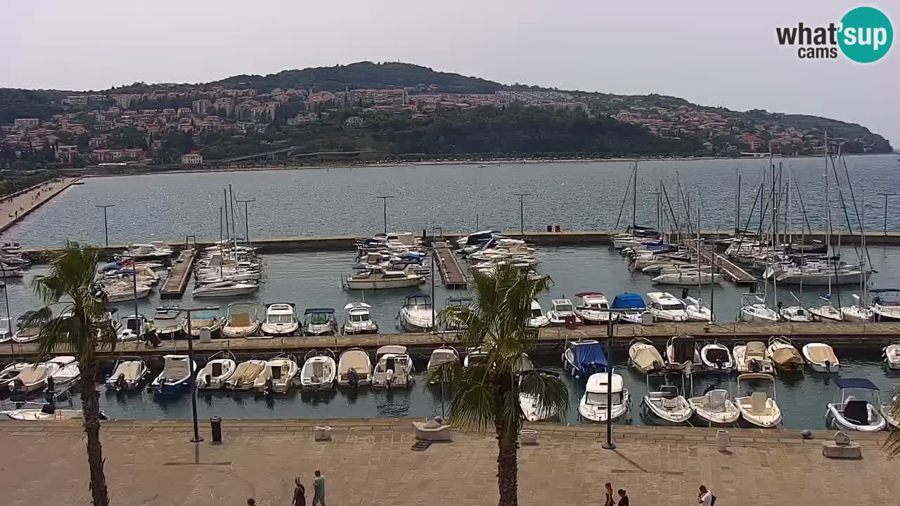 Webcam Capodistria – Piazza Ukmar