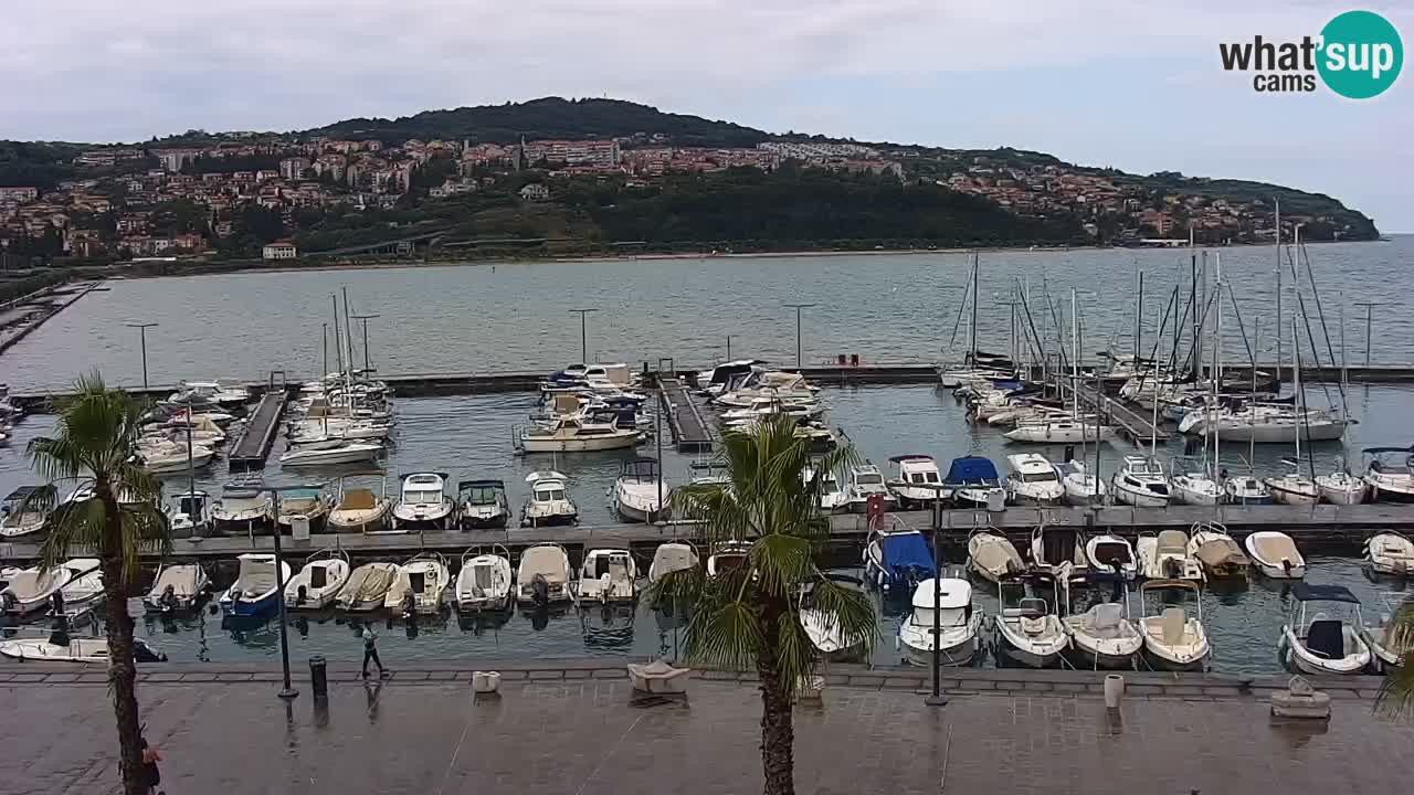 Spletna kamera Luka Koper v živo – Potniški terminal in tovorno pristanišče – Slovenija