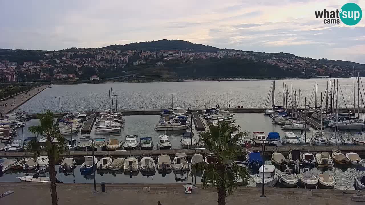 Camera en vivo Koper – puerto deportivo y paseo marítimo desde el Hotel Grand Koper