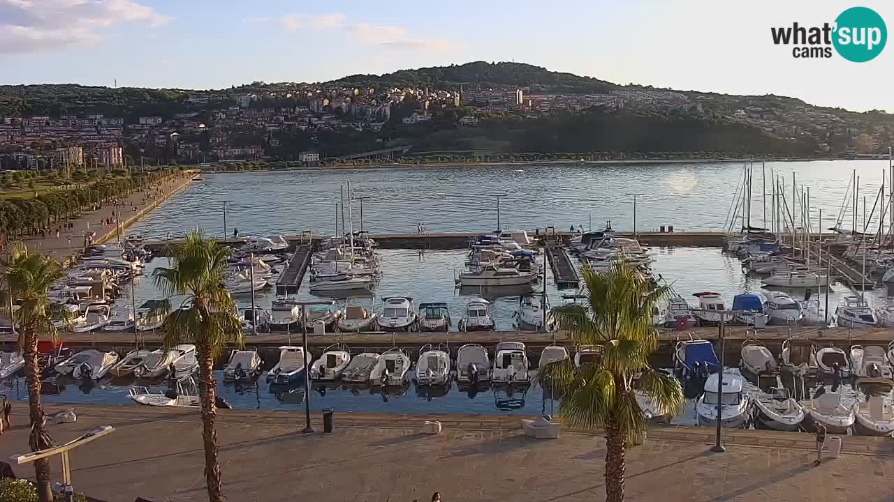 Luka Kopar uživo web kamera – Turistički terminal i teretna luka – Slovenija
