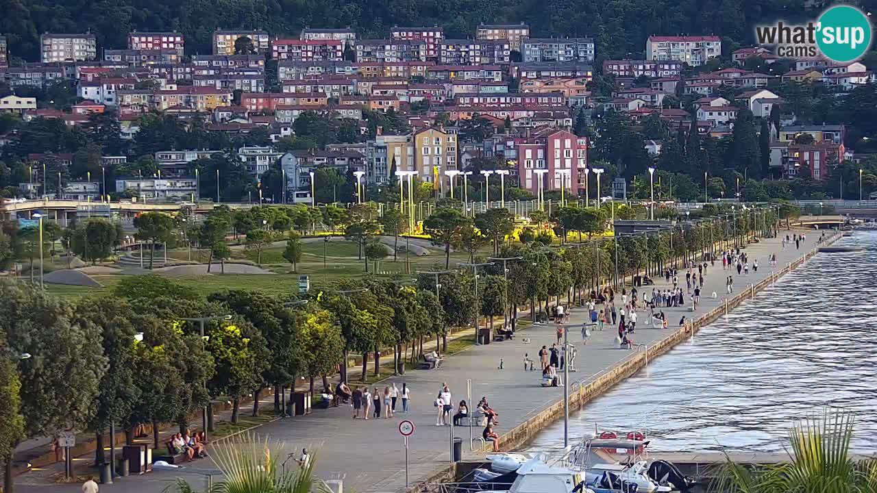 Der Hafen von Koper Live-Webcam – Kreuzfahrt- und Frachthafen – Slowenien
