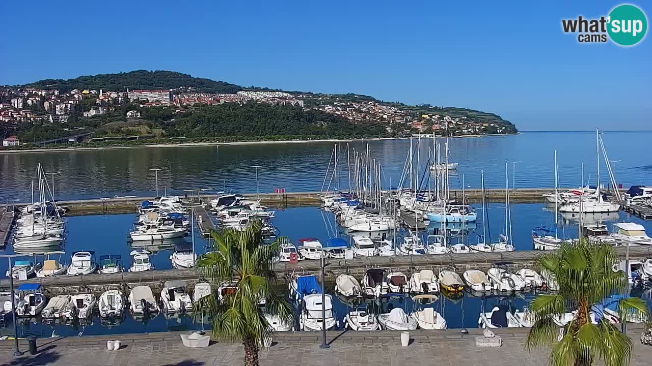 Live cam Koper – Ukmarjev trg