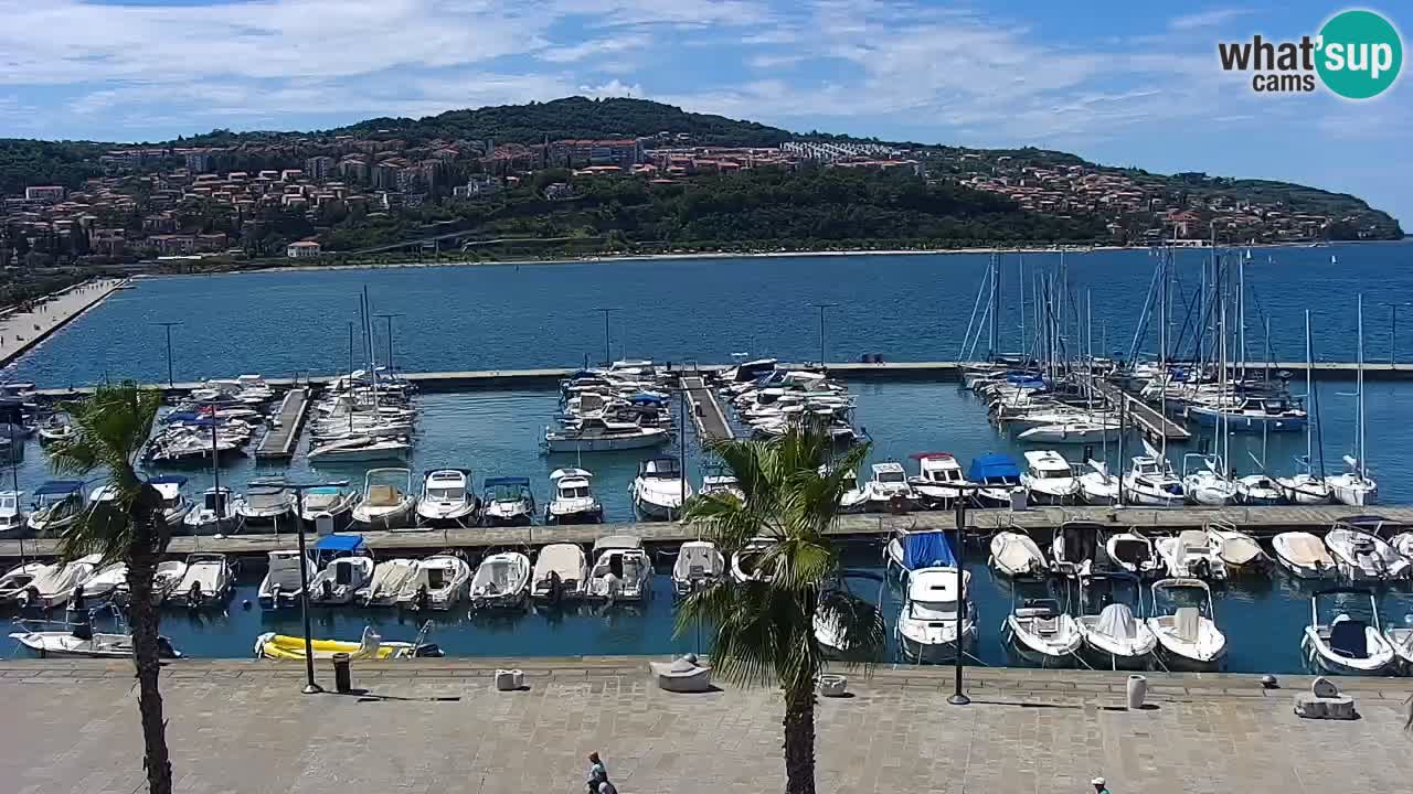 Spletna kamera Koper – Panorama na marino in promenado s Hotela Grand Koper