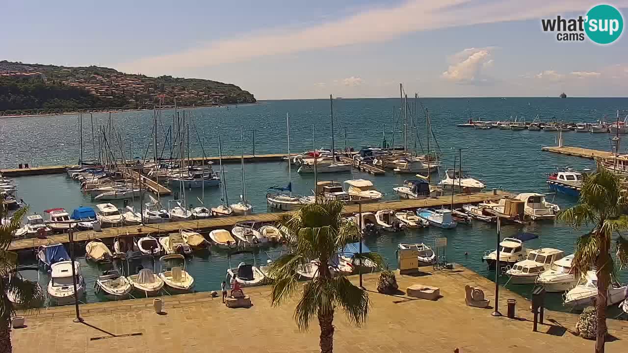 Webcam Koper – Panorama des Jachthafens und der Promenade vom Hotel Grand Koper