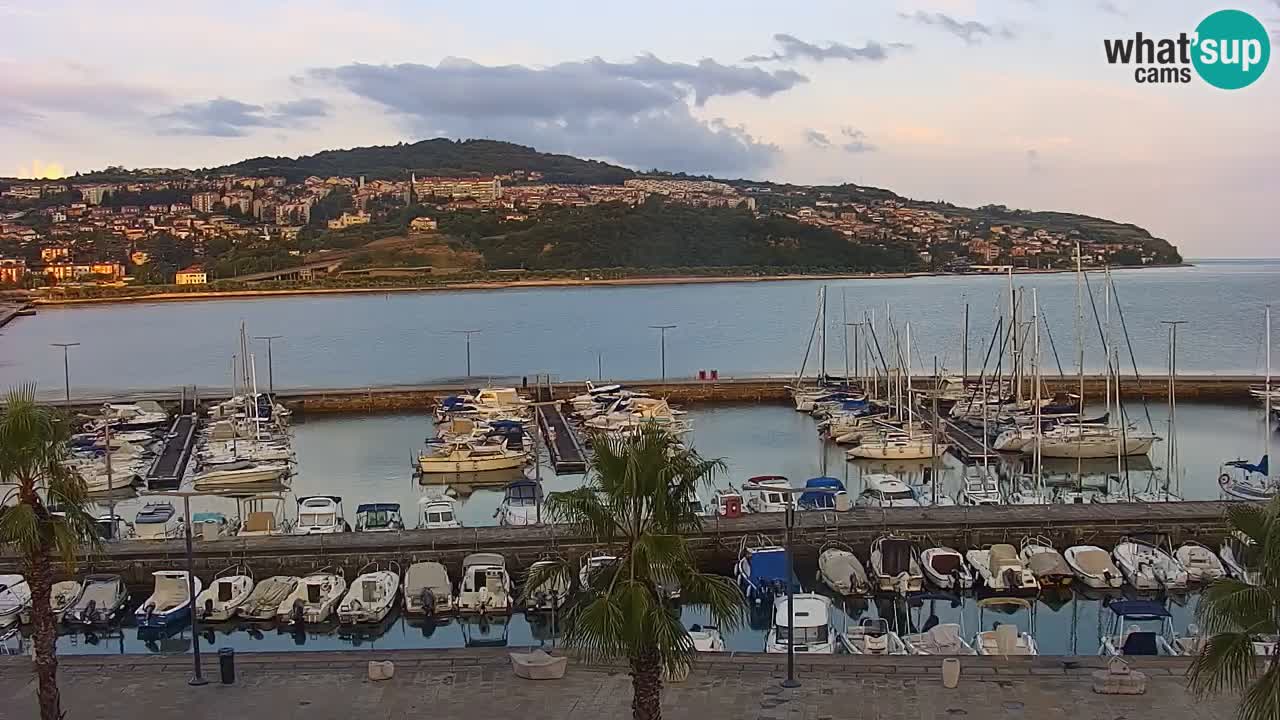 Livecam Koper – Ukmarjev trg
