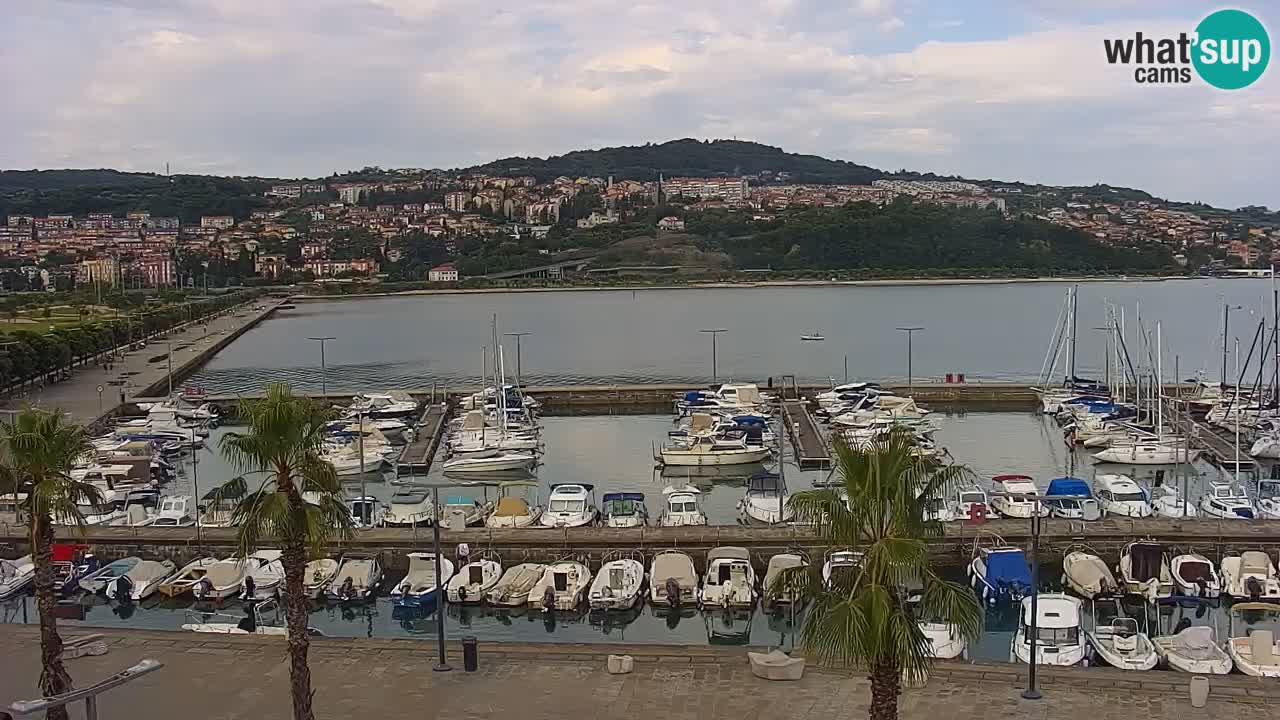 Der Hafen von Koper Live-Webcam – Kreuzfahrt- und Frachthafen – Slowenien
