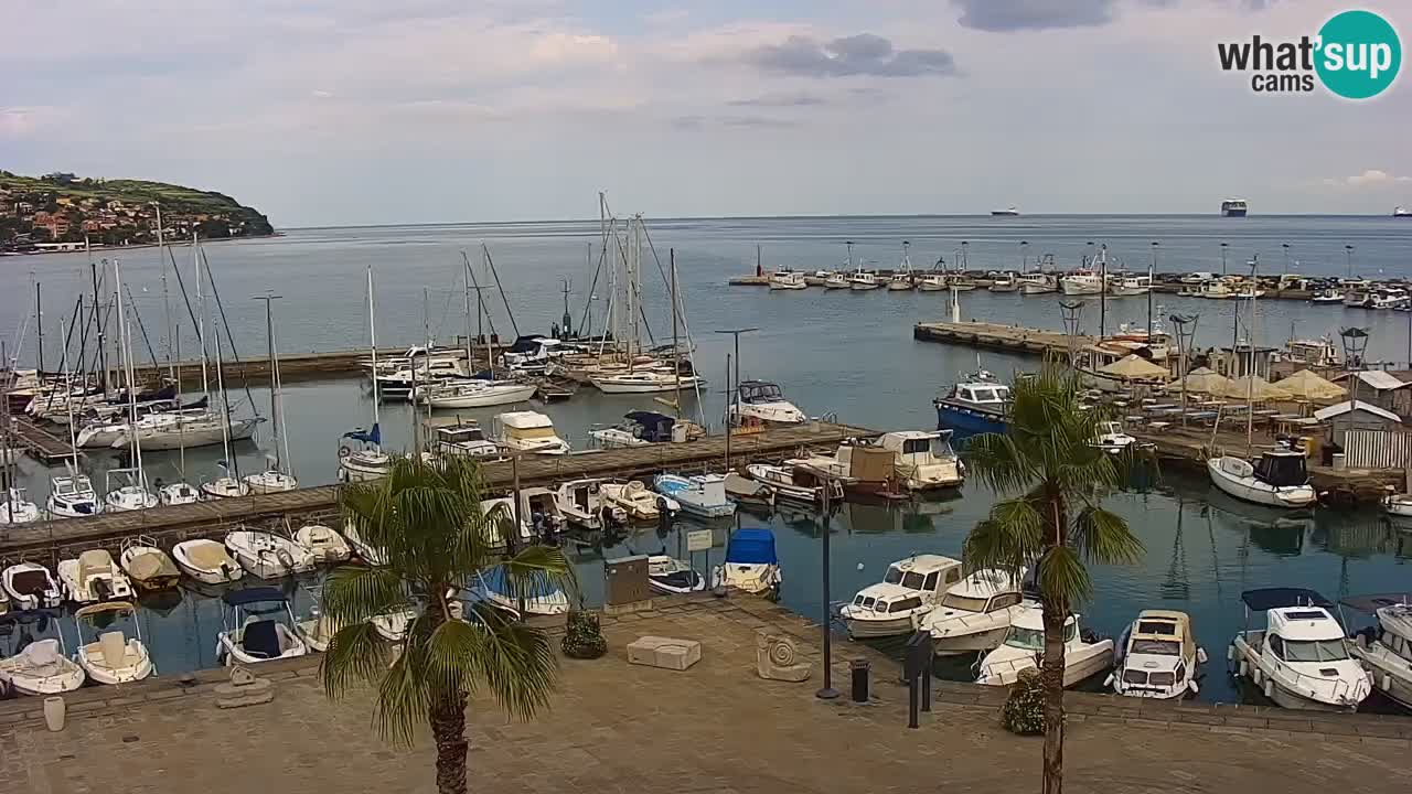 Webcam Koper – Panorama of the marina and promenade from the Grand Hotel Koper