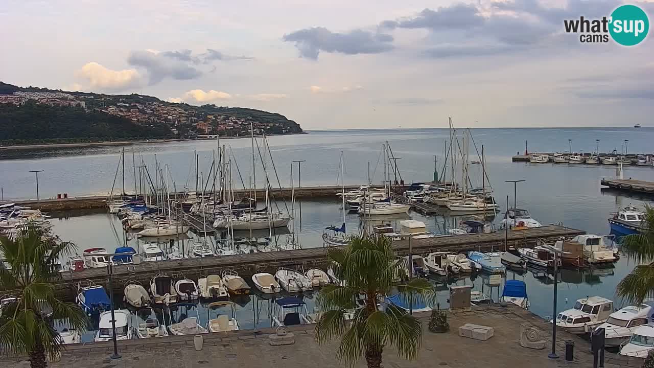 Luka Kopar uživo web kamera – Turistički terminal i teretna luka – Slovenija