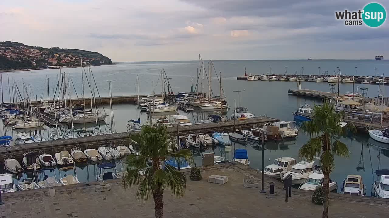 Webcam en direct du port de Koper – port de croisière et de fret – Slovénie