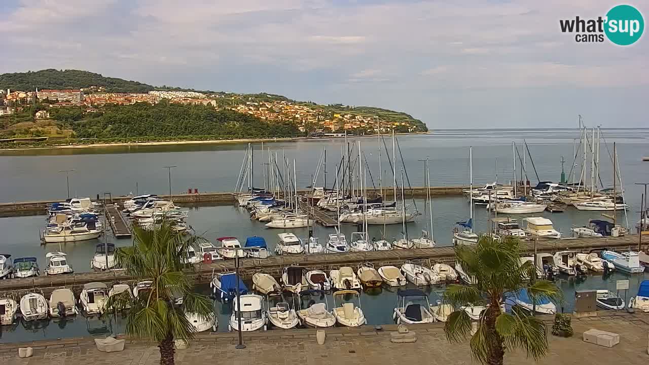 Webcam en direct du port de Koper – port de croisière et de fret – Slovénie
