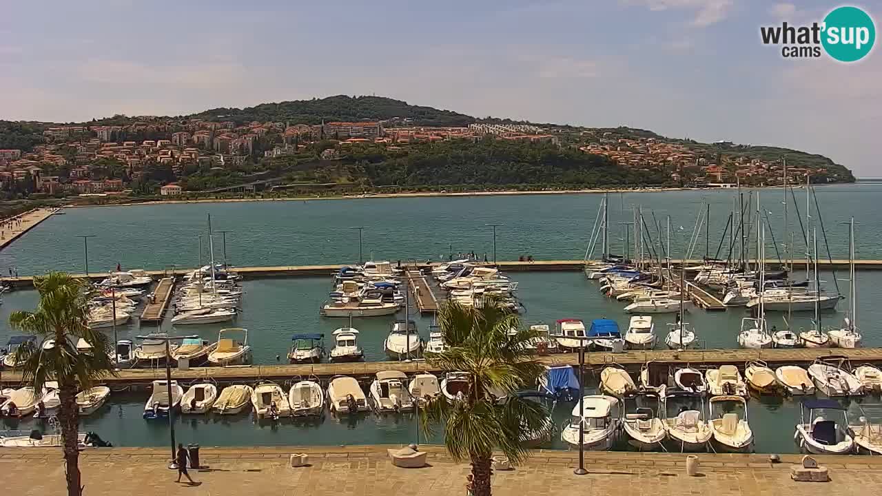 Spletna kamera Koper – Panorama na marino in promenado s Hotela Grand Koper