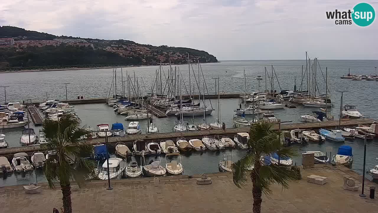 Webcam Koper – Panorama of the marina and promenade from the Grand Hotel Koper