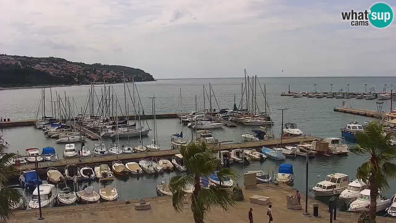Spletna kamera Luka Koper v živo – Potniški terminal in tovorno pristanišče – Slovenija