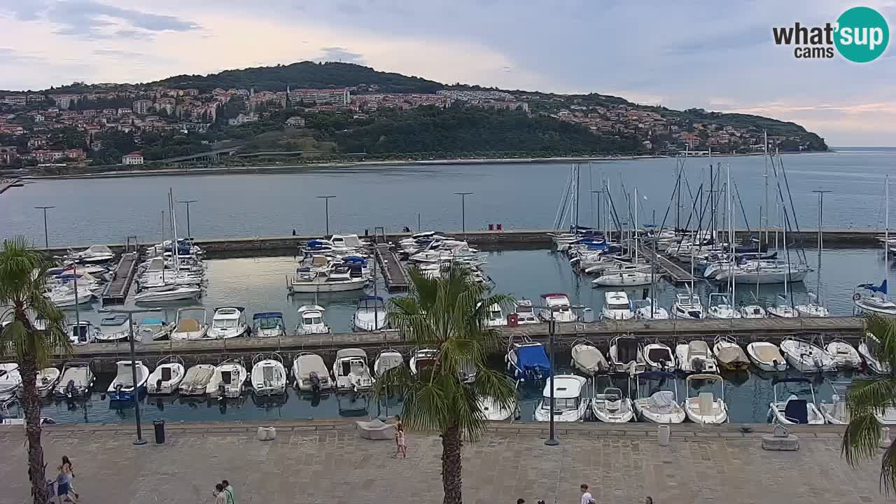 The Port of Koper live webcam – cruise and cargo port – Slovenia