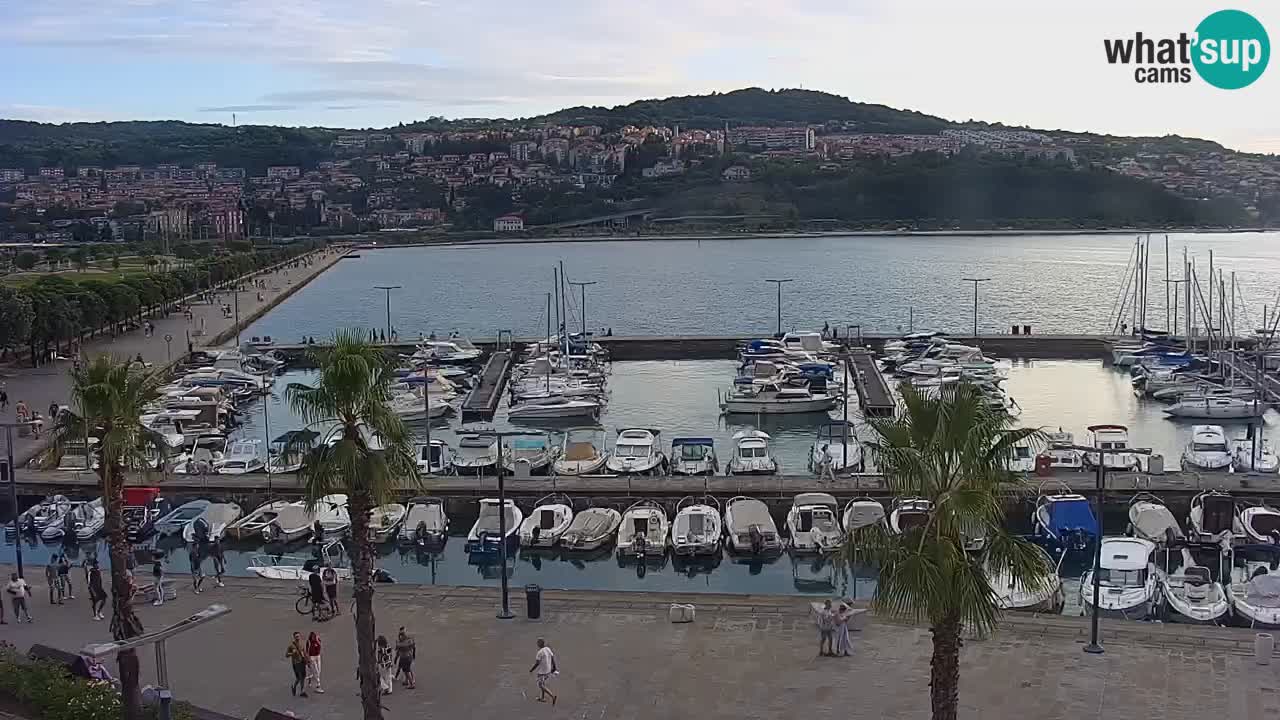 Livecam Koper – Ukmarjev trg