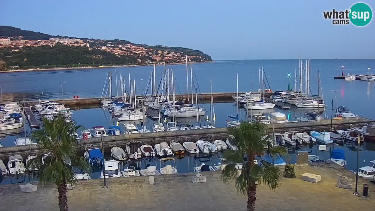 The Port of Koper live webcam – cruise and cargo port – Slovenia