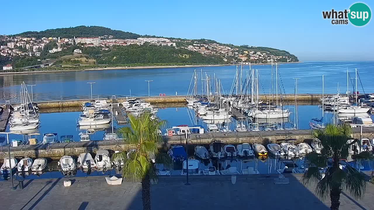 The Port of Koper live webcam – cruise and cargo port – Slovenia