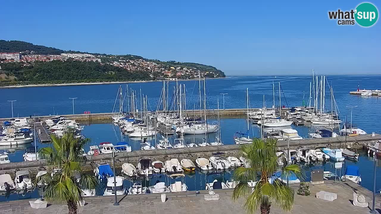 Il porto di Koper – Capodistria live webcam – porto crociere e mercantile – Slovenia