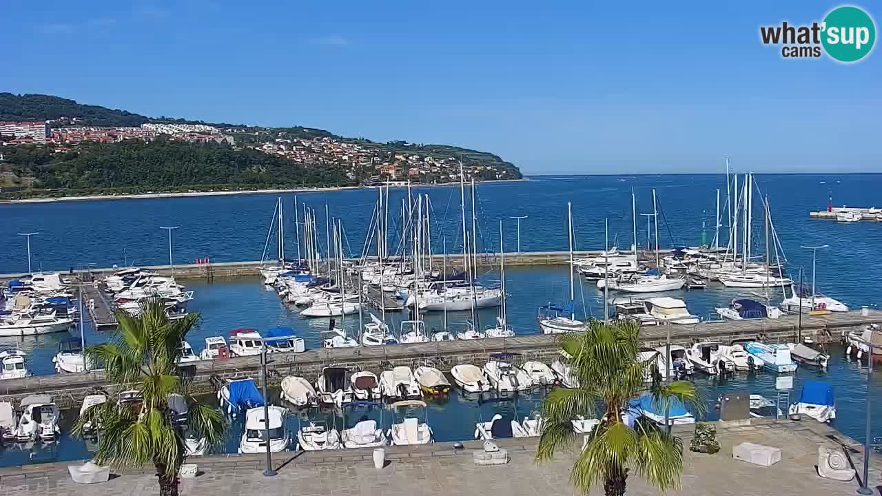 Spletna kamera Koper – Panorama na marino in promenado s Hotela Grand Koper