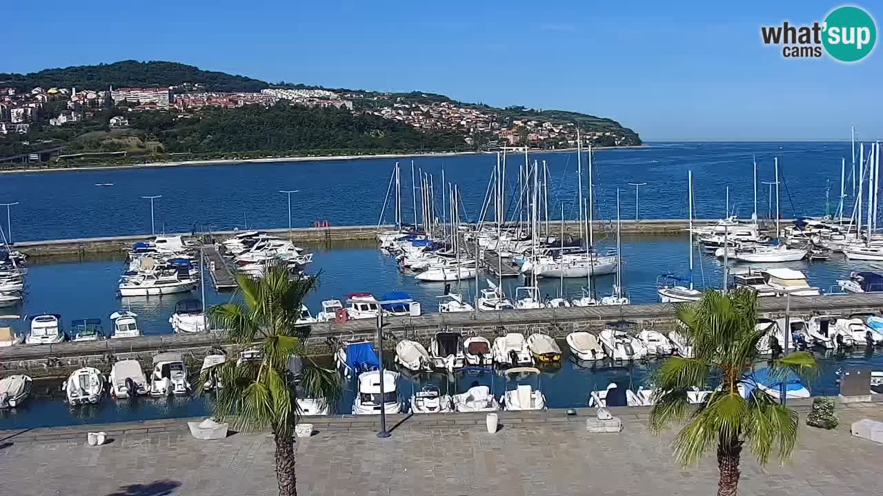 Webcam en direct du port de Koper – port de croisière et de fret – Slovénie