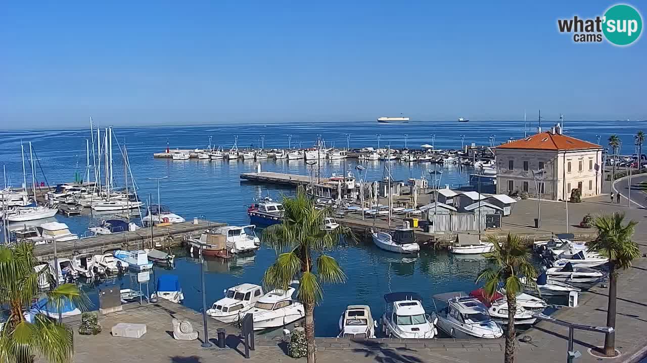 Der Hafen von Koper Live-Webcam – Kreuzfahrt- und Frachthafen – Slowenien