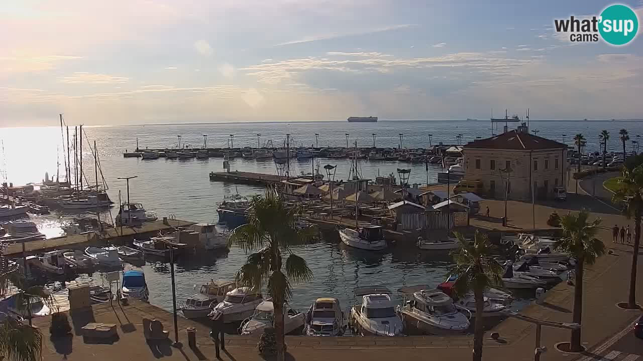 Livecam Koper – Ukmarjev trg