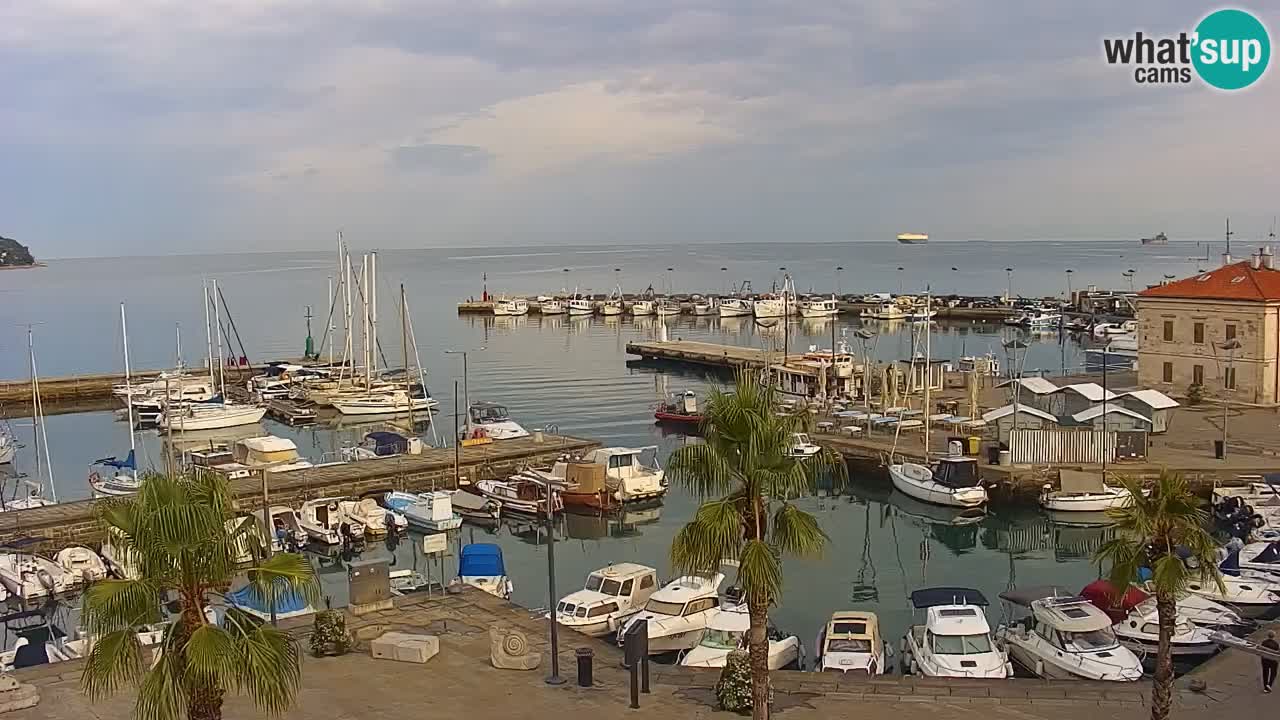 Spletna kamera Luka Koper v živo – Potniški terminal in tovorno pristanišče – Slovenija