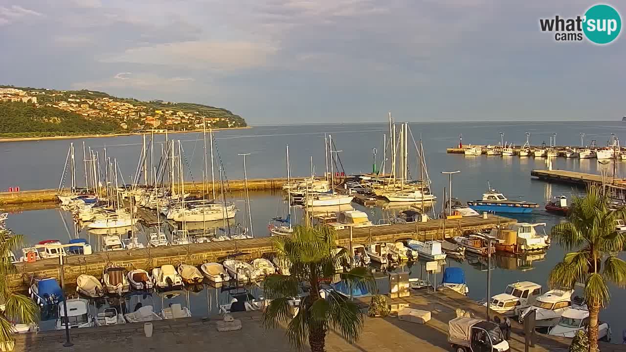 Webcam Koper – Panorama des Jachthafens und der Promenade vom Hotel Grand Koper