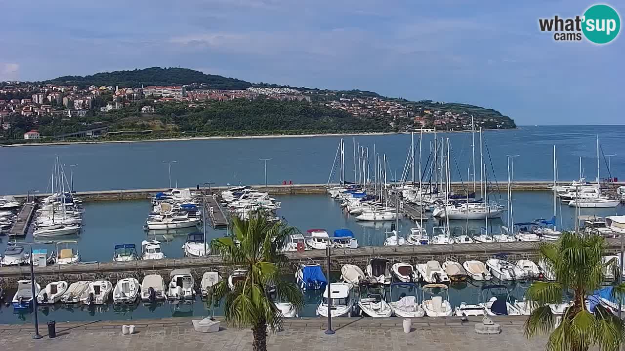 The Port of Koper live webcam – cruise and cargo port – Slovenia