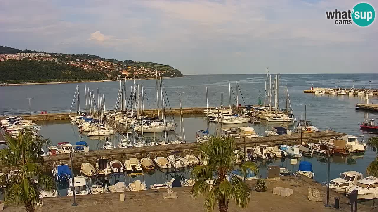Webcam Koper – Panorama of the marina and promenade from the Grand Hotel Koper