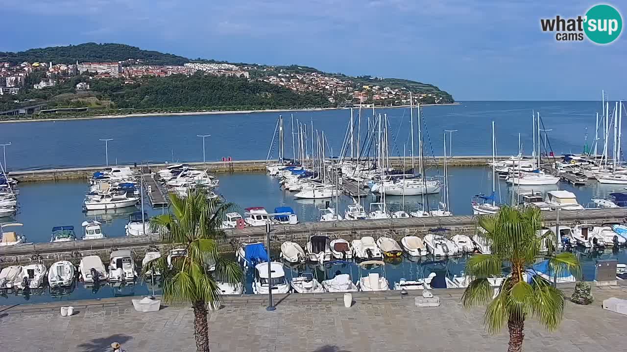 Livecam Koper – Ukmarjev trg