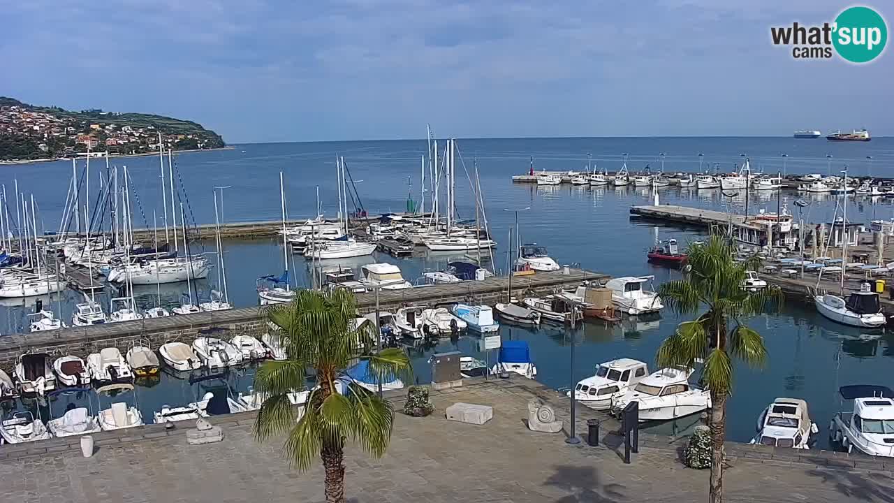 Webcam Koper – Panorama of the marina and promenade from the Grand Hotel Koper
