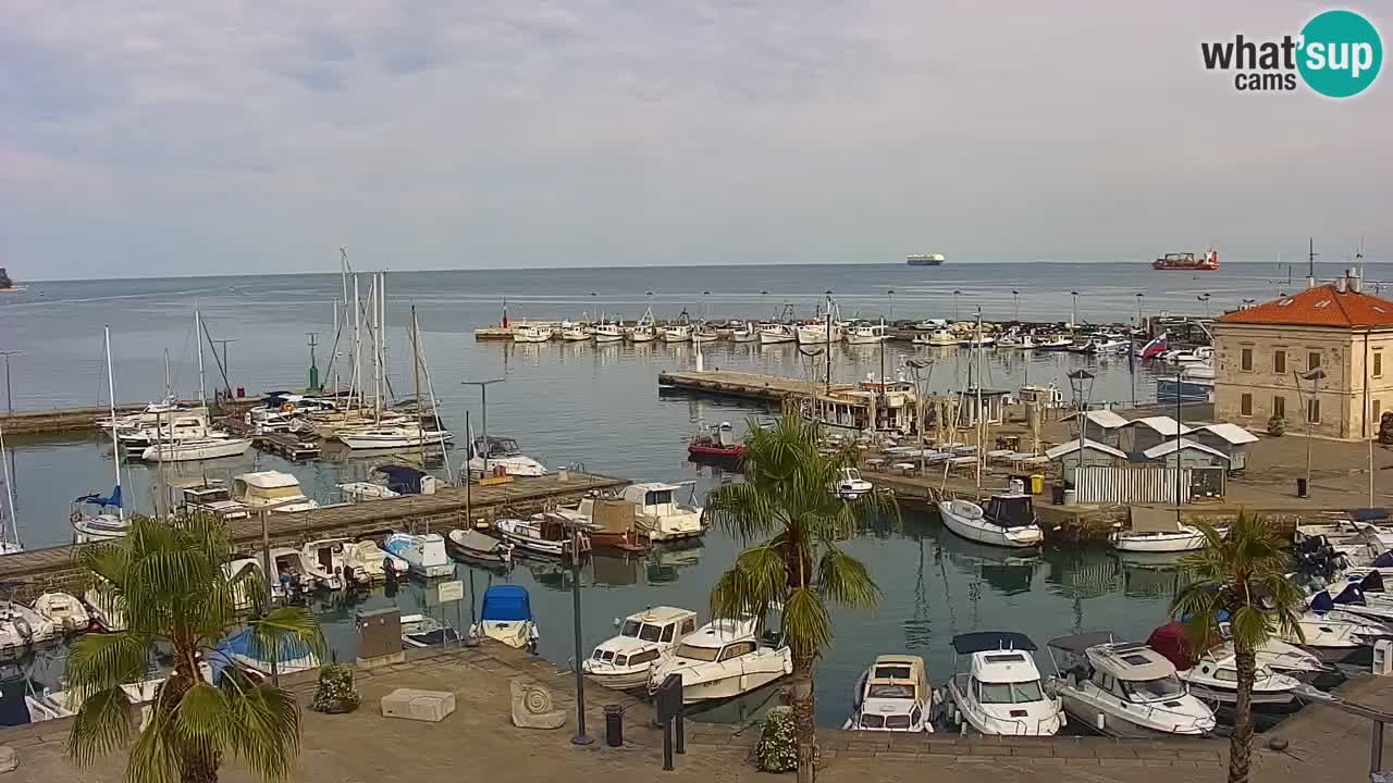 Webcam Capodistria – marina e lungo mare dall’Hotel Grand Koper