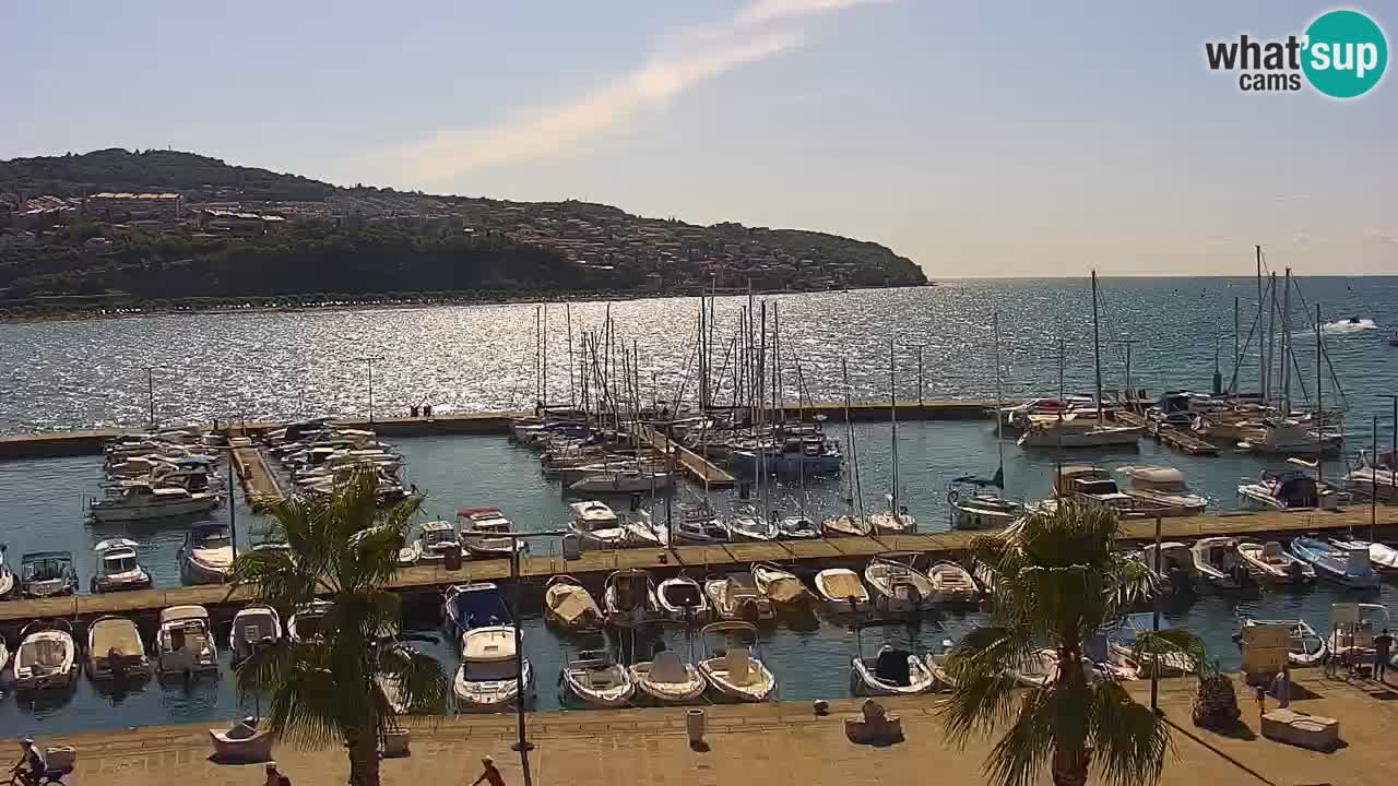 Der Hafen von Koper Live-Webcam – Kreuzfahrt- und Frachthafen – Slowenien